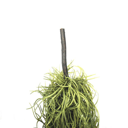 Artificial Air Plant Spanish Moss - Old Man Beard 60cm.