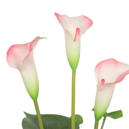 Artificial Flowering White & Pink Peace Lily / Calla Lily Plant 50cm.