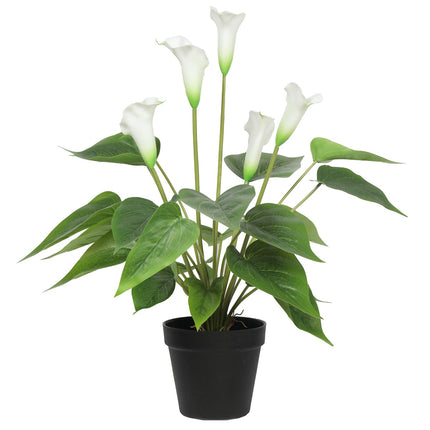 Artificial Flowering White Peace Lily / Calla Lily Plant 50cm.