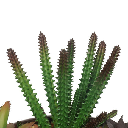 Potted Artificial Succulents with Round Decorative Bowl 19cm.
