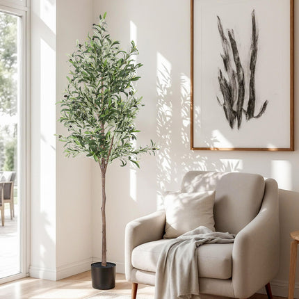 Home & Garden Cartoz.