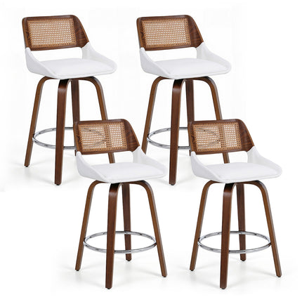 Furniture Cartoz.