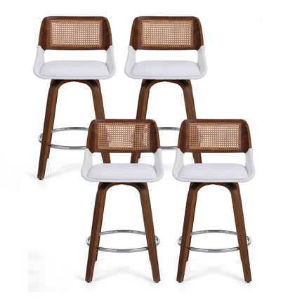 Furniture Cartoz.