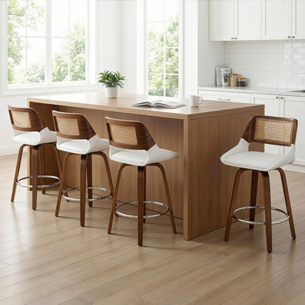 Furniture Cartoz.