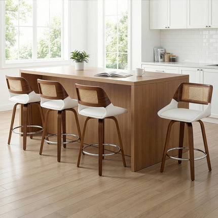 Furniture Cartoz.