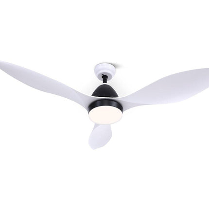 Appliances > Fans > Ceiling Fans.