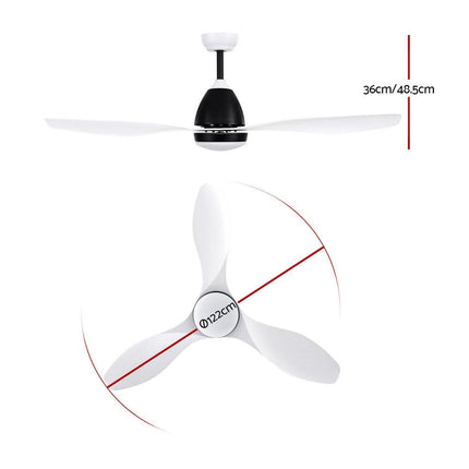 Appliances > Fans > Ceiling Fans.
