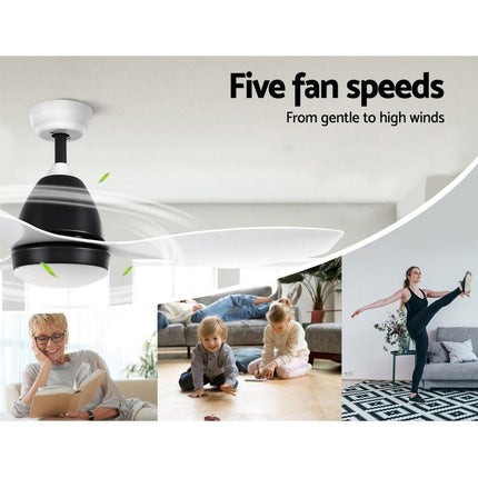 Appliances > Fans > Ceiling Fans.