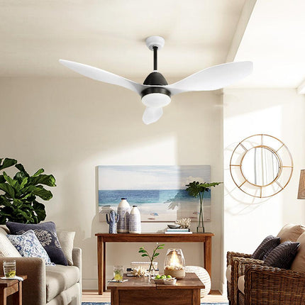 Appliances > Fans > Ceiling Fans.