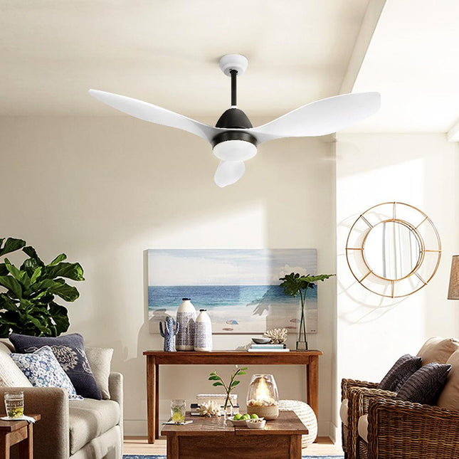 Appliances > Fans > Ceiling Fans.