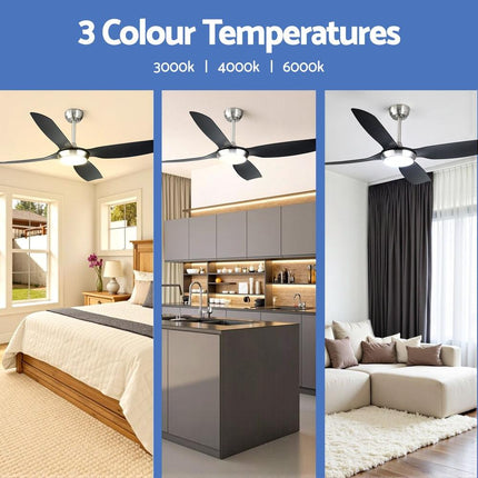 Appliances > Fans > Ceiling Fans.