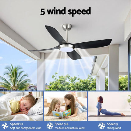 Appliances > Fans > Ceiling Fans.