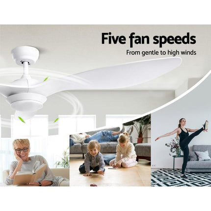 Appliances > Fans > Ceiling Fans.