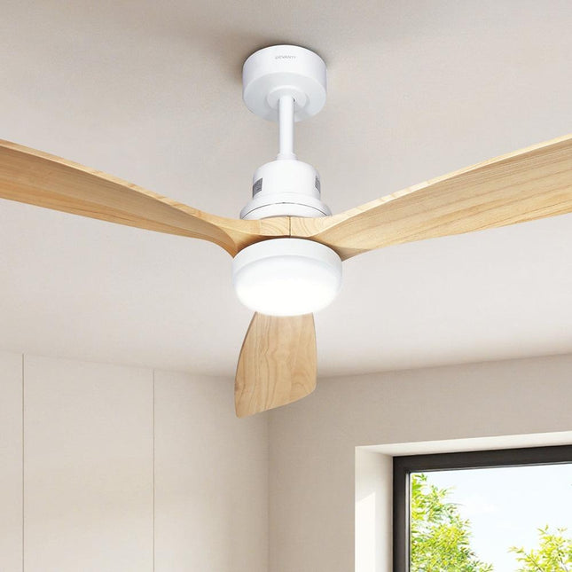 Appliances > Fans > Ceiling Fans.