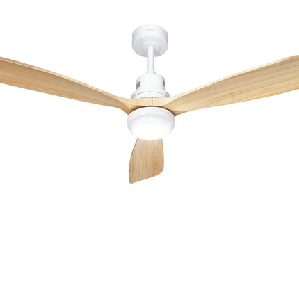 Appliances > Fans > Ceiling Fans Cartoz.