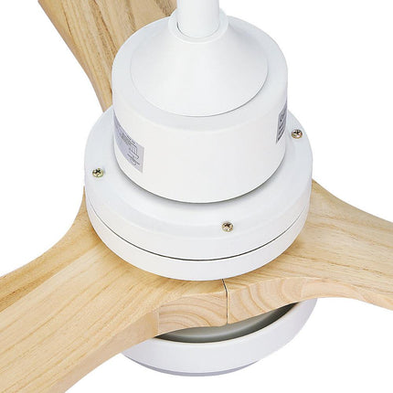 Appliances > Fans > Ceiling Fans Cartoz.