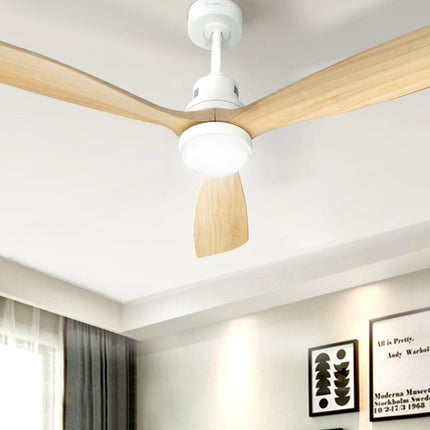 Appliances > Fans > Ceiling Fans Cartoz.