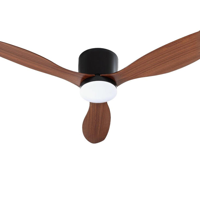 Appliances > Fans > Ceiling Fans.