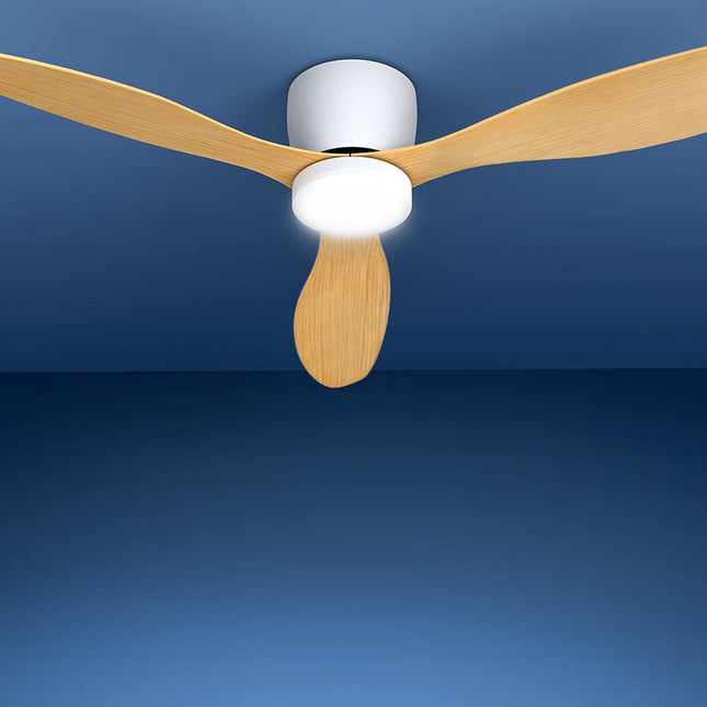 Appliances > Fans > Ceiling Fans.