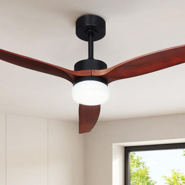 Appliances > Fans > Ceiling Fans.