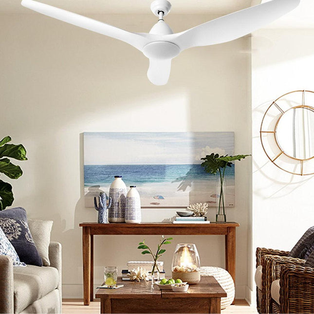 Appliances > Fans > Ceiling Fans.