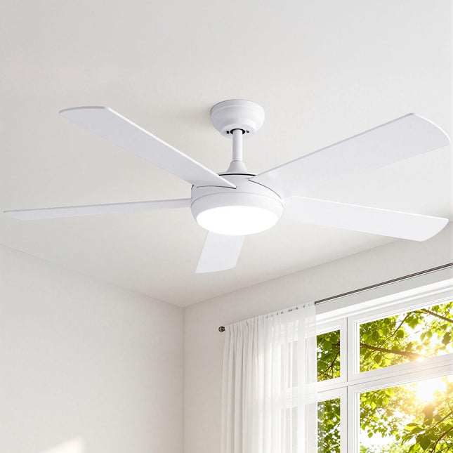 Appliances > Fans > Ceiling Fans.
