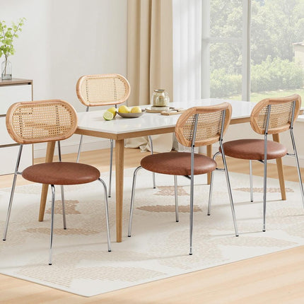 Furniture Cartoz.