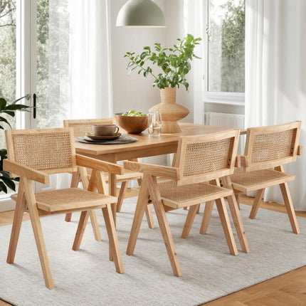 Furniture Cartoz.