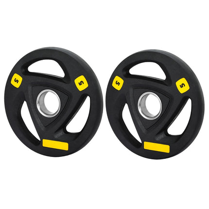 Everfit Weight Plates Olympic 5kgx2 Dumbbells Barbells Plate Weight Lifting Home.