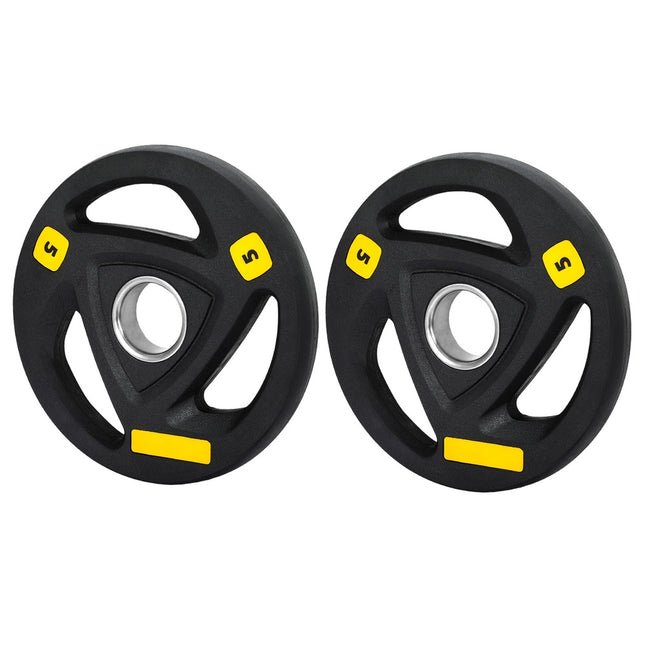 Everfit Weight Plates Olympic 5kgx2 Dumbbells Barbells Plate Weight Lifting Home.