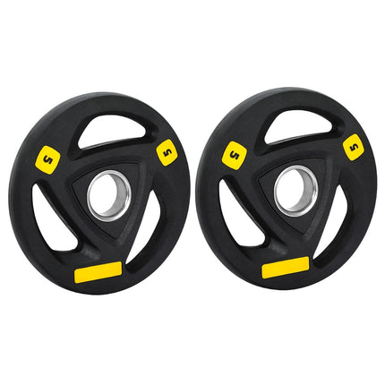 Everfit Weight Plates Olympic 5kgx2 Dumbbells Barbells Plate Weight Lifting Home.