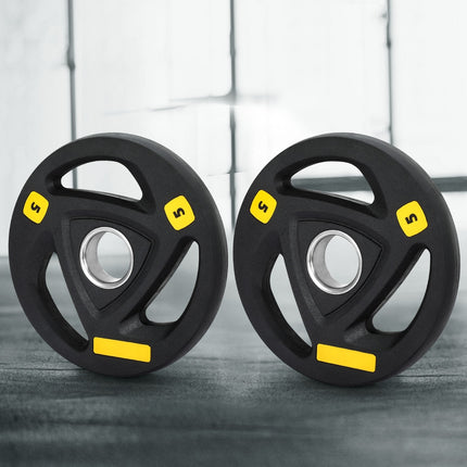 Everfit Weight Plates Olympic 5kgx2 Dumbbells Barbells Plate Weight Lifting Home.
