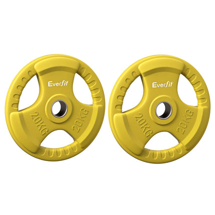 Everfit Weight Plates Olympic 20kgx2 Dumbbell Barbell Plate Weight Lifting Home Gym Yellow.