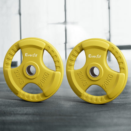 Everfit Weight Plates Olympic 20kgx2 Dumbbell Barbell Plate Weight Lifting Home Gym Yellow.