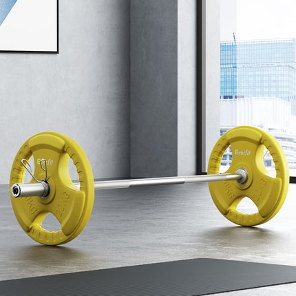 Everfit Weight Plates Olympic 15kgx2 Dumbbell Barbell Plate Weight Lifting Home Gym Red.