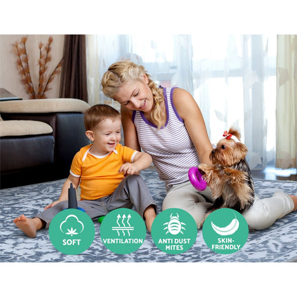 Artiss Rug 200x290cm Area Rug Large Carpet Soft Short Pile Modern Fafi.