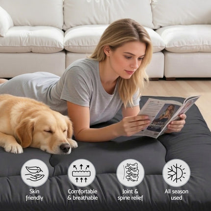 Giselle Bedding 10cm Japanese Floor Mattress Foldable Futon Mattress Washable Cover Straps.