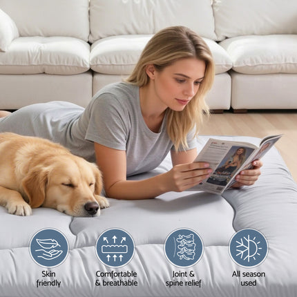 Giselle Bedding 10cm Japanese Floor Mattress Foldable Futon Mattress Washable Cover Straps.