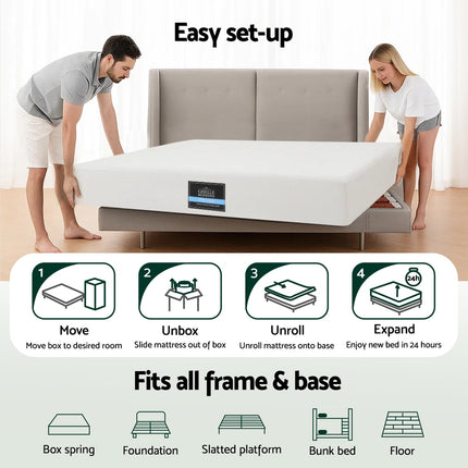 Furniture Cartoz.