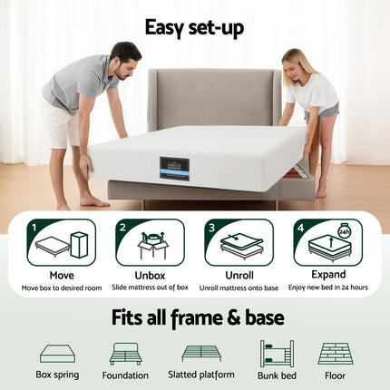 Furniture Cartoz.