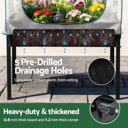 Home & Garden Cartoz.
