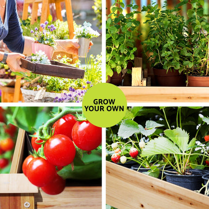 Green Fingers Garden Bed Elevated 120x60x80cm Wooden Planter Box Raised Container.