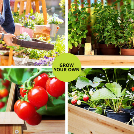 Green Fingers Raised Garden Bed 2x Elevated 120x60x80cm Wooden Planter Box Container.