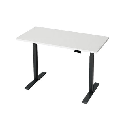 Artiss Standing Desk Motorised Dual Motor Oak 120CM.