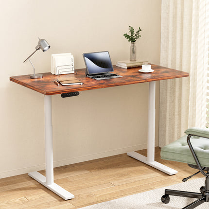 Furniture Cartoz.