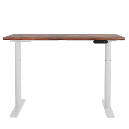 Furniture Cartoz.