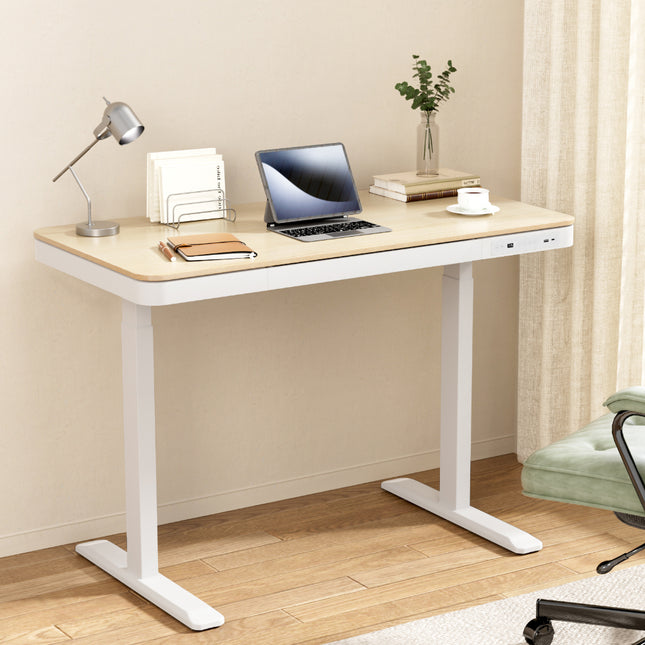 Artiss Standing Desk Motorised Electric Dual Motor Draw 120CM Oak.