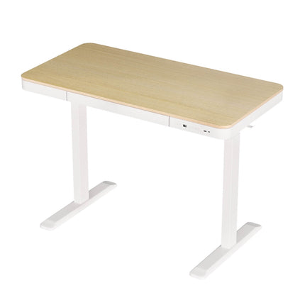Artiss Standing Desk Motorised Electric Dual Motor Draw 120CM Oak.