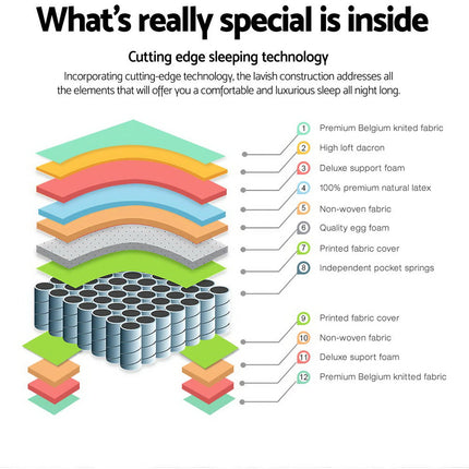 Furniture Cartoz.