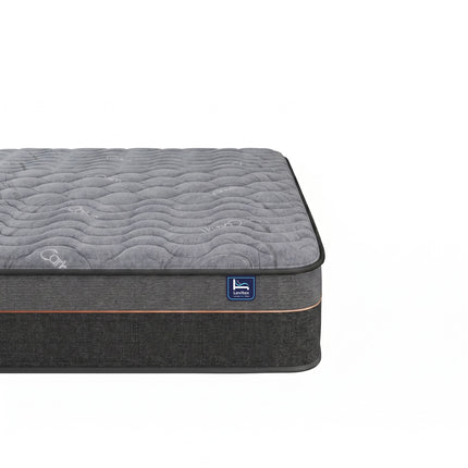 Furniture > Mattresses > Double Mattress.